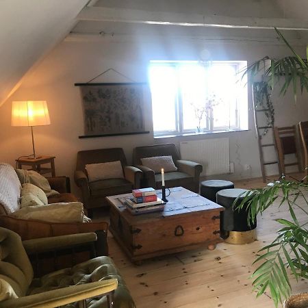 הוילה Löderup Botanikerns Hus מראה חיצוני תמונה