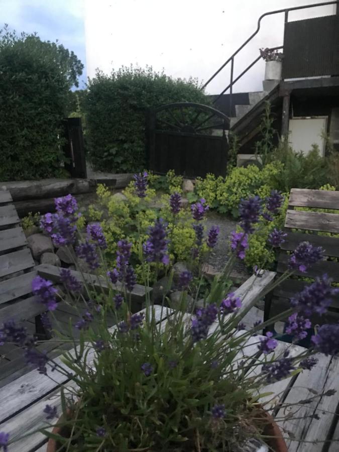 הוילה Löderup Botanikerns Hus מראה חיצוני תמונה